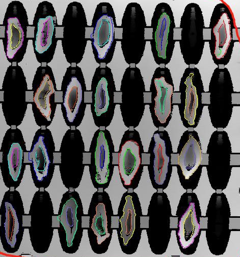 檳榔口味是如何利用高新技術(shù)加工的? 檳榔口味是如何利用高新技術(shù)加工的?