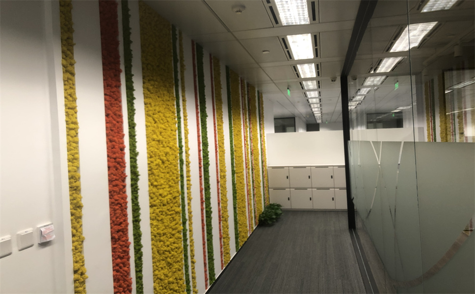 上海辦公室裝修房地產服務類公司辦公室-第3張圖片-上海古都建筑設計集團 上海辦公室裝修房地產服務類公司辦公室-第3張圖片-上海古都建筑設計集團